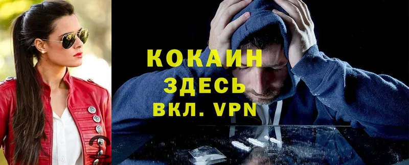 Cocaine Fish Scale  darknet телеграм  Завитинск 